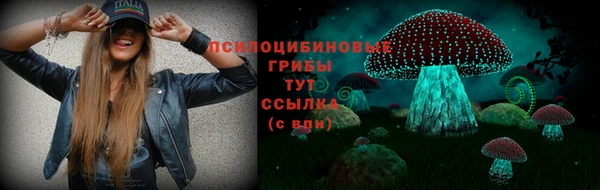 дмт Абинск