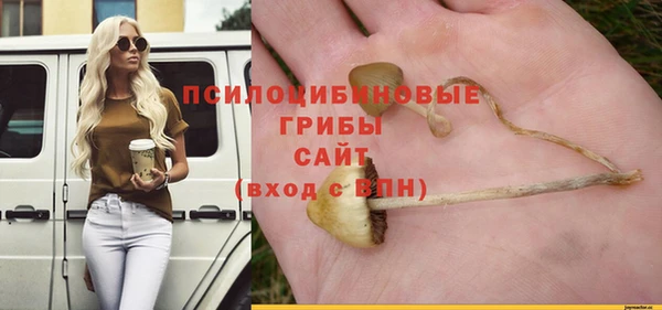 кокс Абаза
