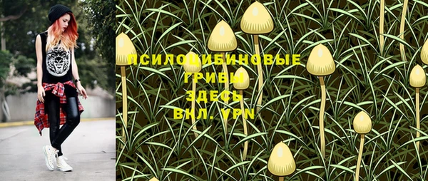 дмт Абинск