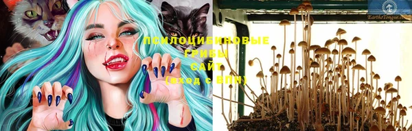 кокс Абаза