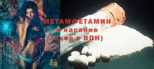 прущие грибы Пролетарск