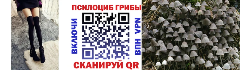 Псилоцибиновые грибы MAGIC MUSHROOMS  наркота  Мамадыш 